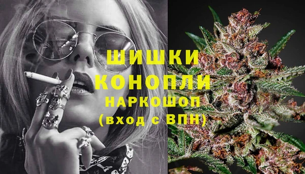 крисы Осташков