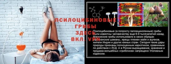 гидропоника Белоозёрский
